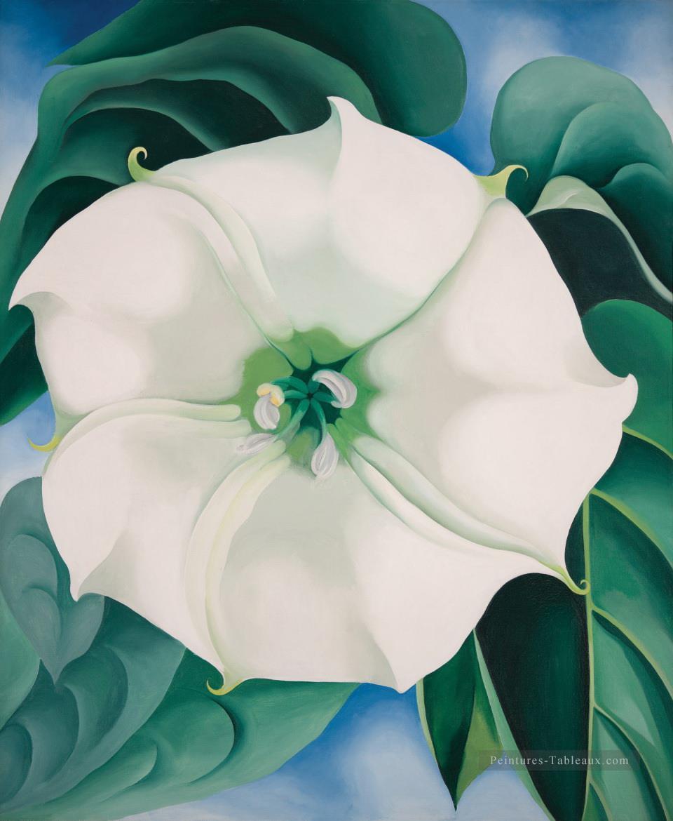 Jimson weed White Flower no1 Georgia Okeeffe modernisme américain Precisionism Peintures à l'huile